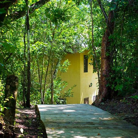 Amber Sunset Jungle Resort Сан-Игнасио Экстерьер фото