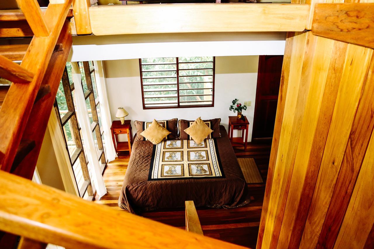 Amber Sunset Jungle Resort Сан-Игнасио Экстерьер фото