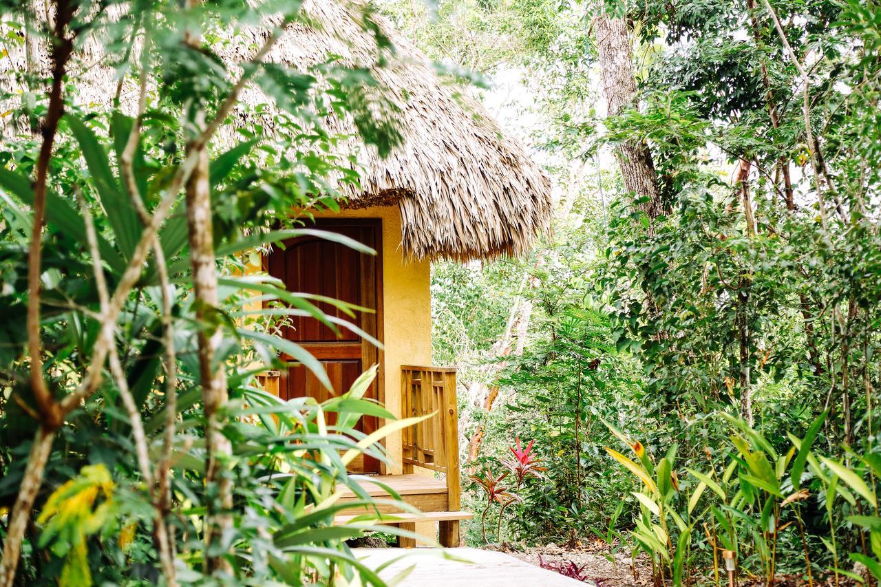 Amber Sunset Jungle Resort Сан-Игнасио Экстерьер фото
