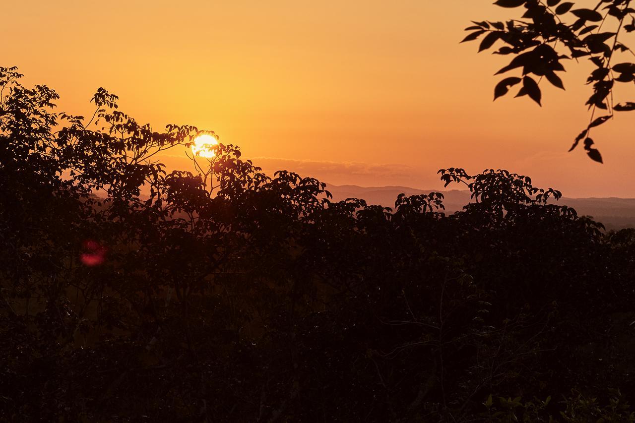 Amber Sunset Jungle Resort Сан-Игнасио Экстерьер фото