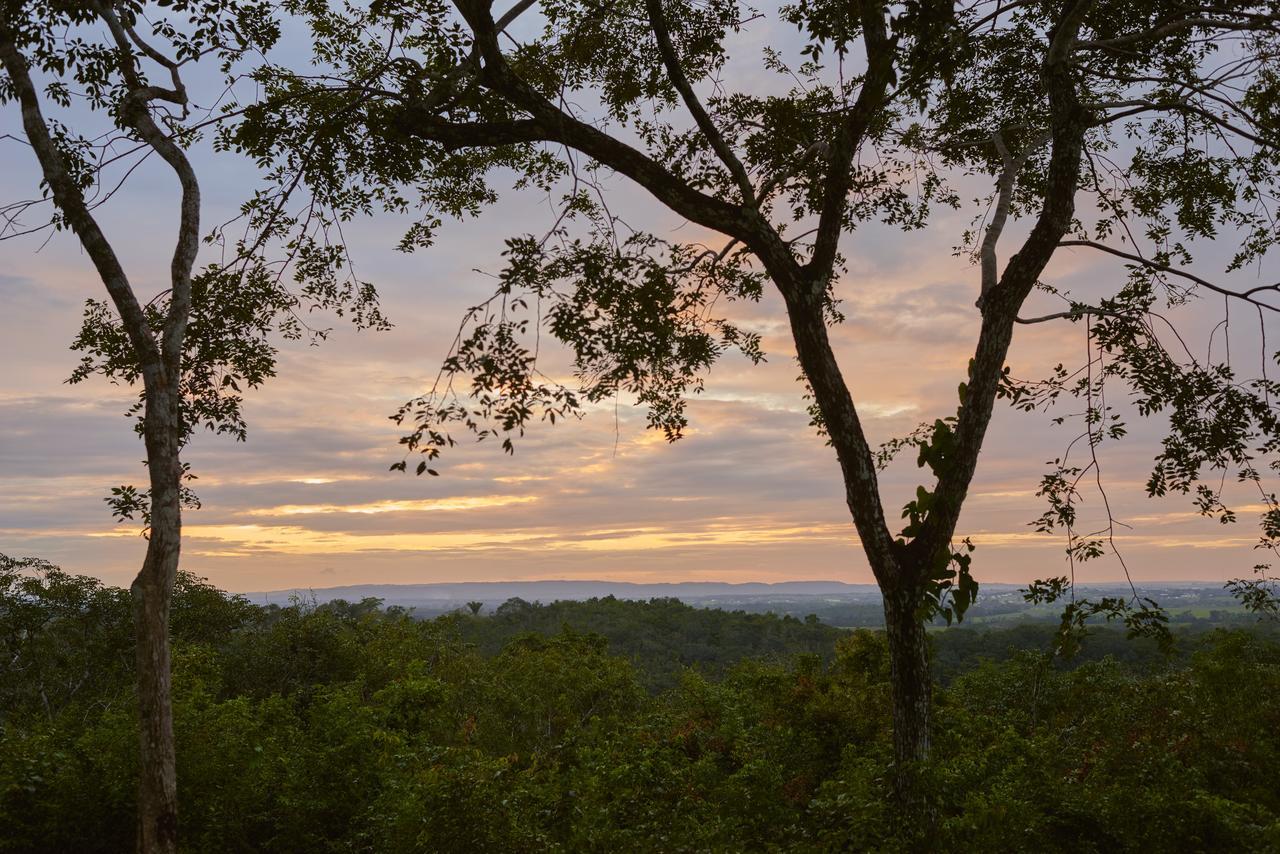 Amber Sunset Jungle Resort Сан-Игнасио Экстерьер фото