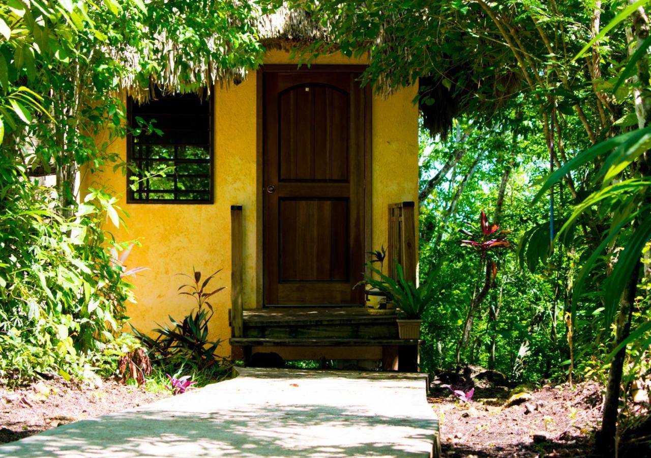 Amber Sunset Jungle Resort Сан-Игнасио Экстерьер фото