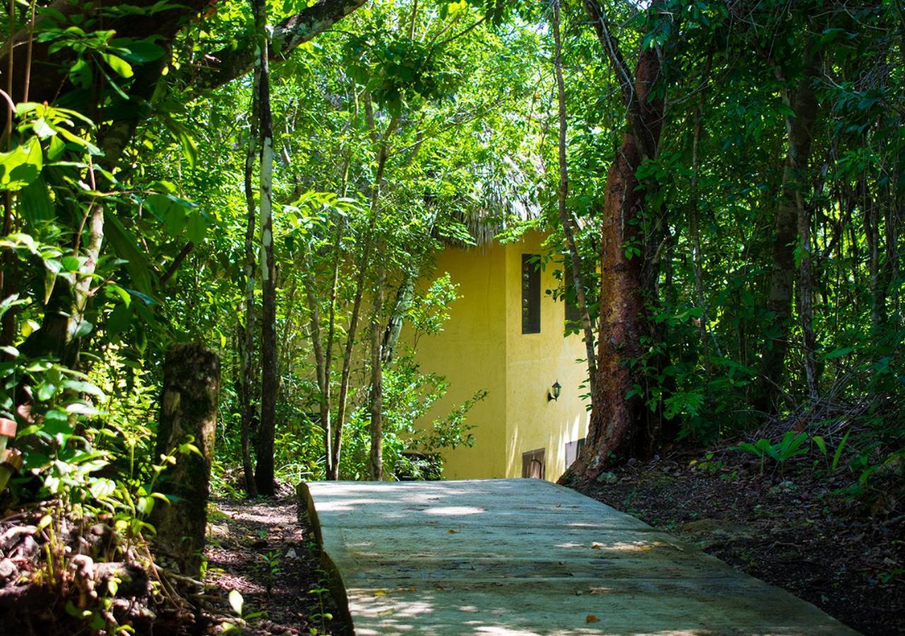 Amber Sunset Jungle Resort Сан-Игнасио Экстерьер фото