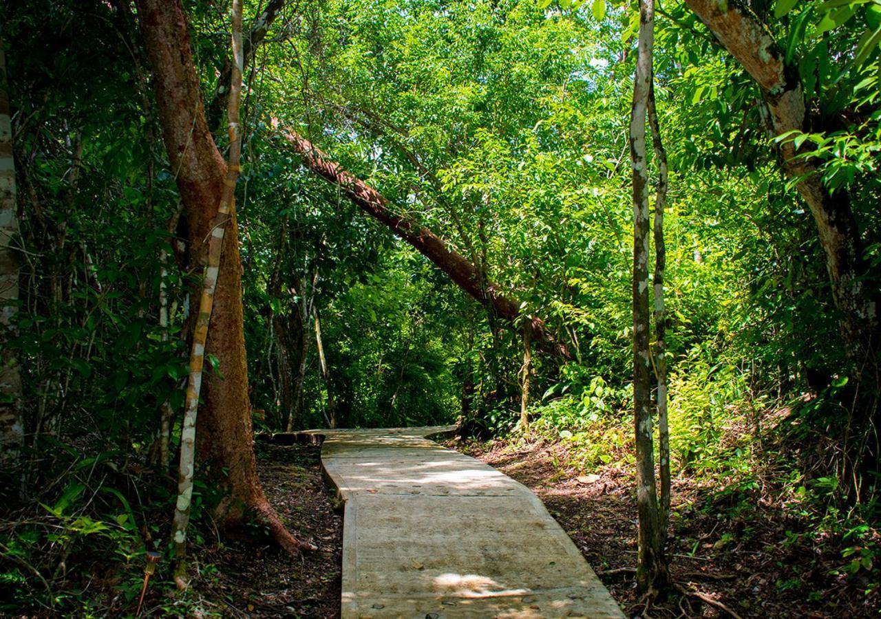 Amber Sunset Jungle Resort Сан-Игнасио Экстерьер фото